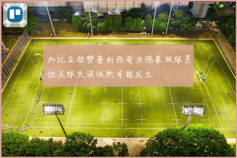 加比亚称赞普利西奇为现象级球员但点球失误依然可能发生