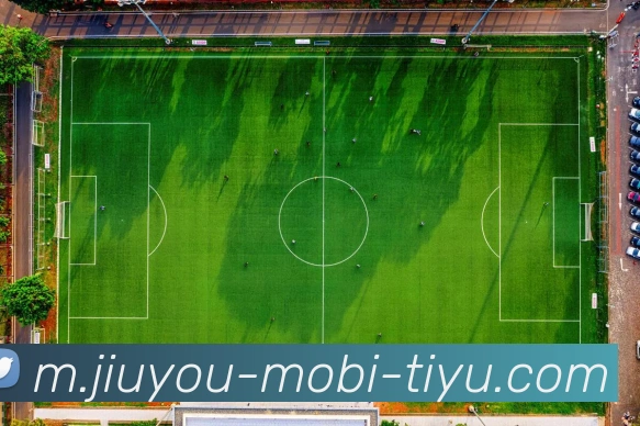 九游娱乐APP 高清赛事图